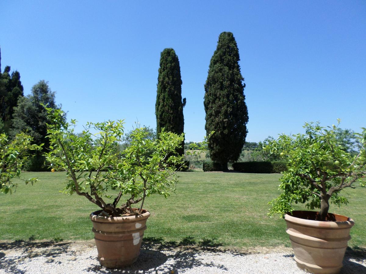 Tenuta Villa Rocchi Torrita di Siena Esterno foto