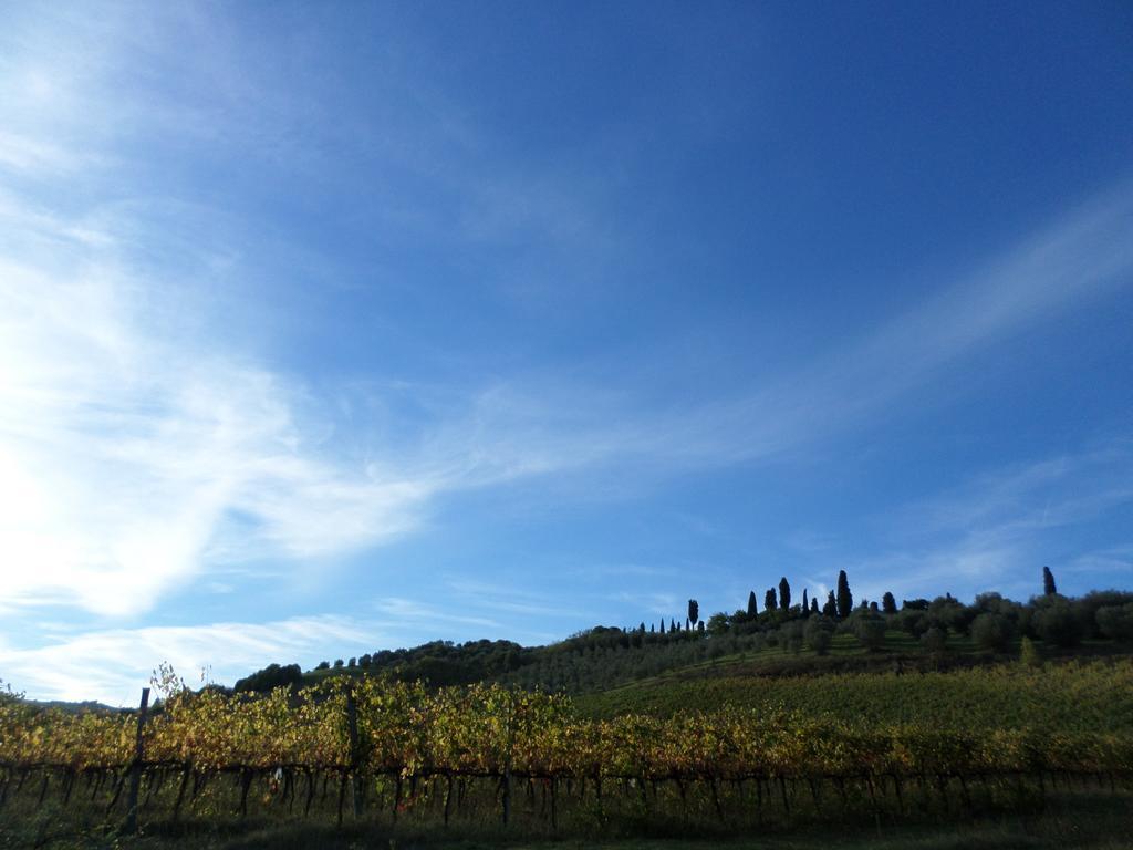 Tenuta Villa Rocchi Torrita di Siena Esterno foto