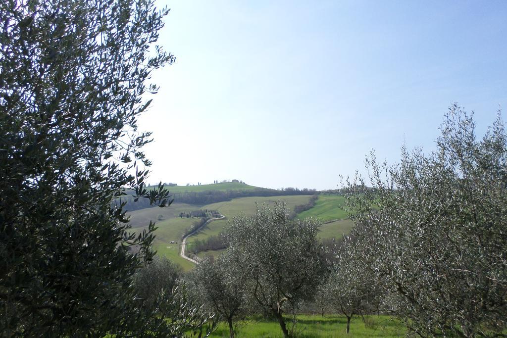Tenuta Villa Rocchi Torrita di Siena Esterno foto