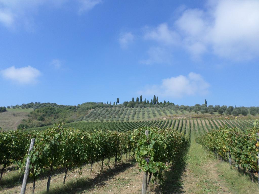 Tenuta Villa Rocchi Torrita di Siena Esterno foto