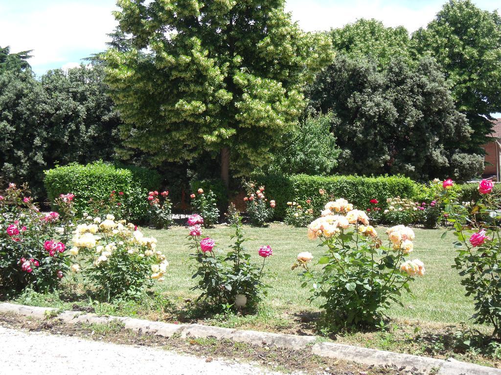 Tenuta Villa Rocchi Torrita di Siena Esterno foto