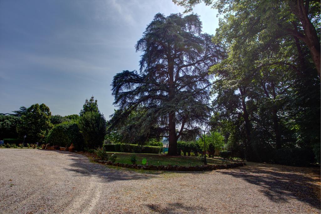 Tenuta Villa Rocchi Torrita di Siena Esterno foto